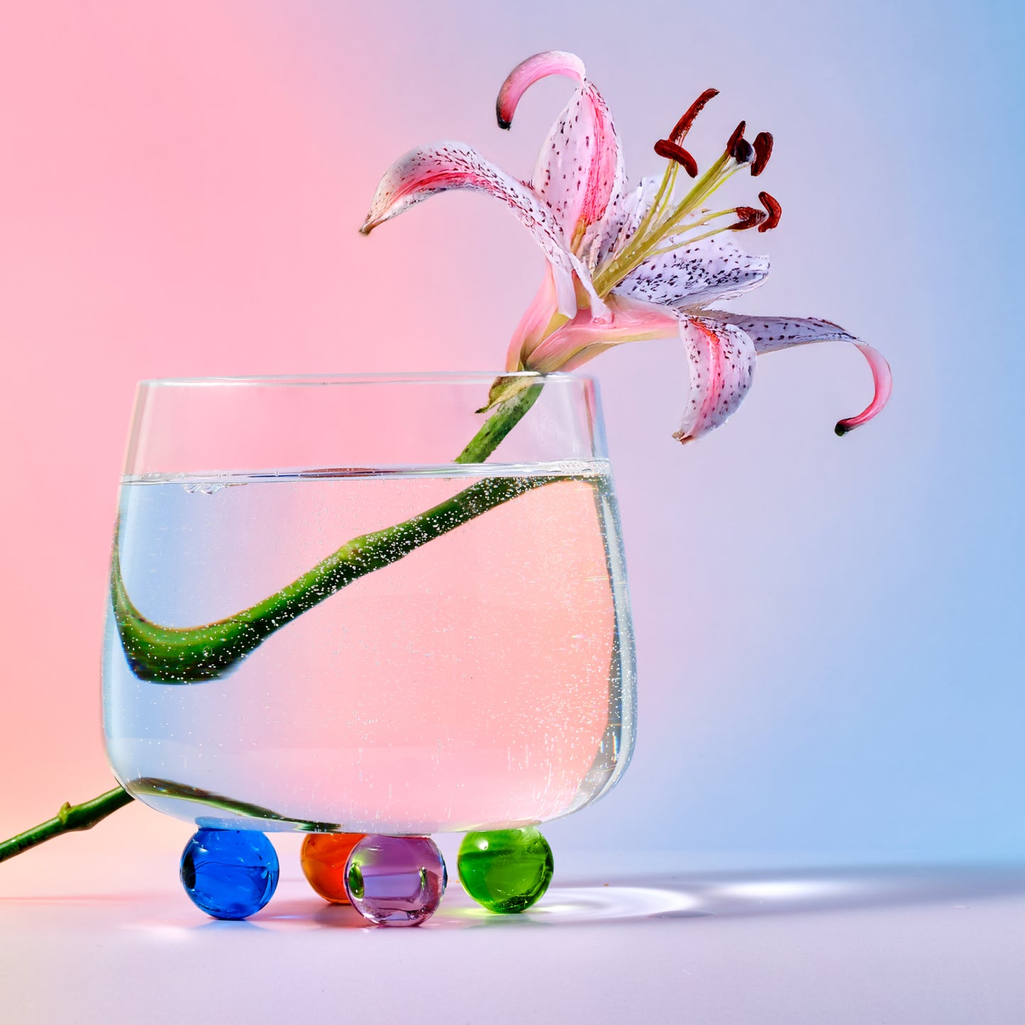 Niji Cocktail & Wine Glass